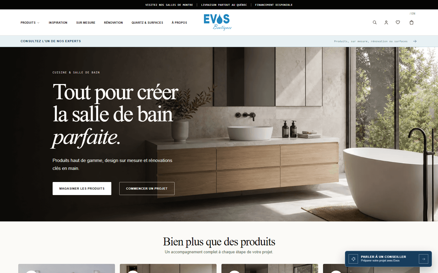 Evos Boutiques website preview